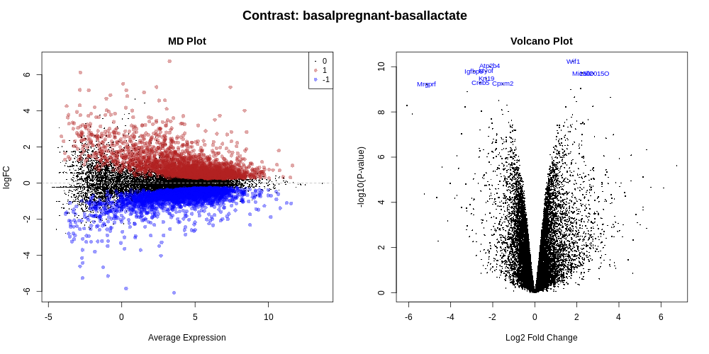 MDVolPlot_basalpregnant-basallactate