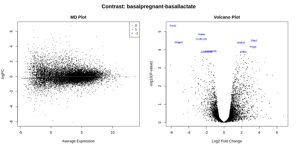 MDVolPlot_basalpregnant-basallactate